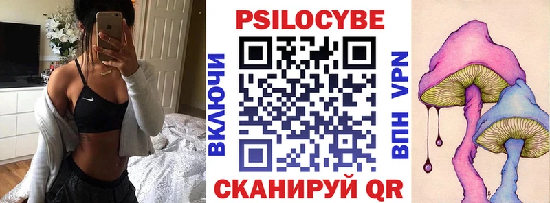 Галлюциногенные грибы Psilocybe  Краснослободск 